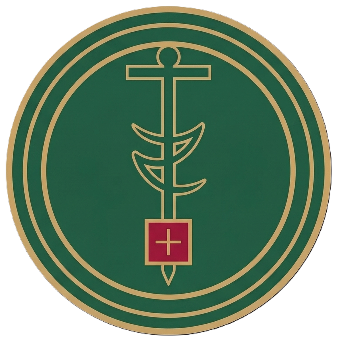 Hospital General de Nueva Delhi